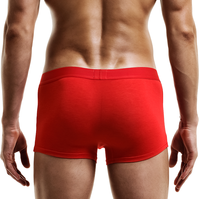 Męska bielizna, bokserki męski – Boxer Shorts Modal recenzja i cena